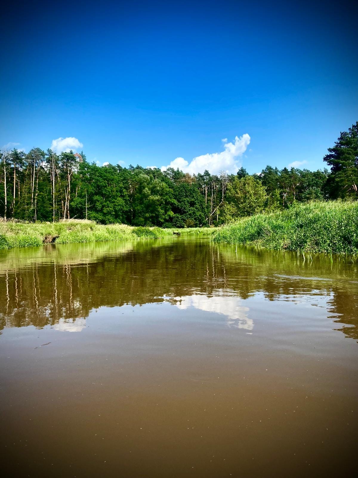 Lustro wody Iny — błękit nieba odbity w rzece